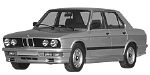 BMW E28 P3491 Fault Code