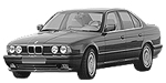 BMW E34 P3491 Fault Code